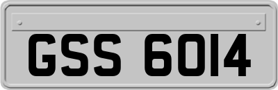 GSS6014