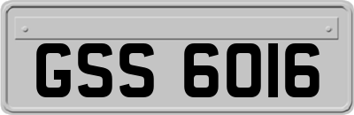 GSS6016