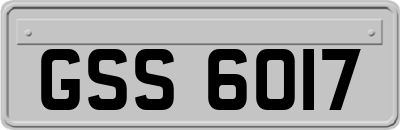 GSS6017