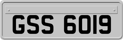 GSS6019