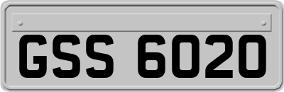 GSS6020