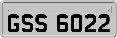 GSS6022