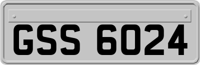 GSS6024