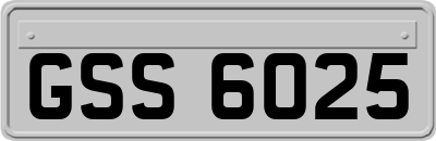 GSS6025