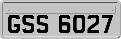 GSS6027