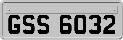 GSS6032