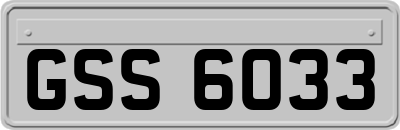 GSS6033