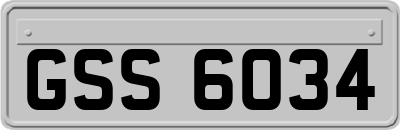 GSS6034
