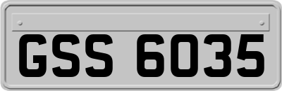 GSS6035