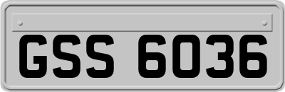 GSS6036