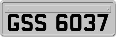 GSS6037