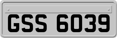 GSS6039