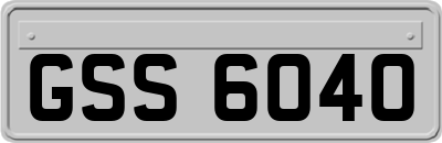 GSS6040