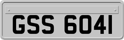 GSS6041