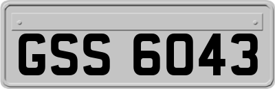 GSS6043
