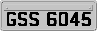 GSS6045