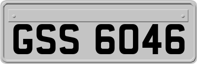 GSS6046