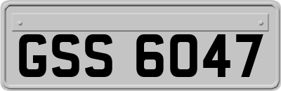 GSS6047