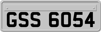 GSS6054
