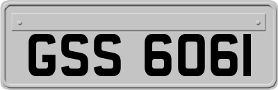 GSS6061