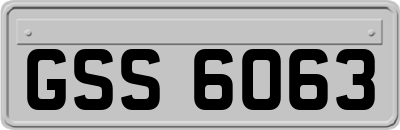 GSS6063