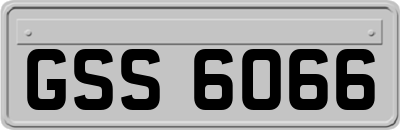 GSS6066