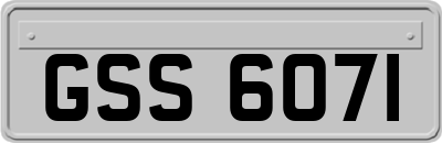 GSS6071