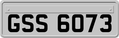 GSS6073