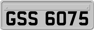 GSS6075