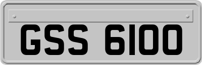 GSS6100