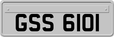 GSS6101