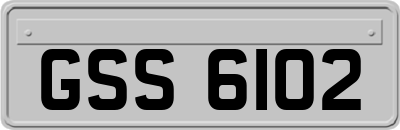 GSS6102
