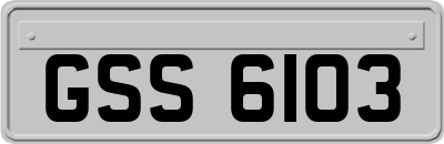 GSS6103