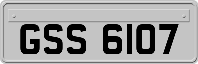 GSS6107