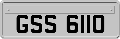 GSS6110