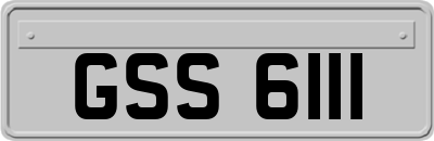 GSS6111