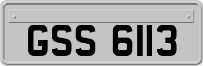 GSS6113