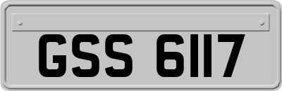 GSS6117