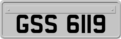 GSS6119