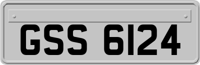 GSS6124
