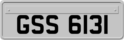GSS6131