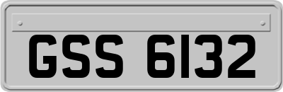 GSS6132