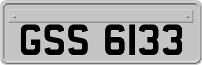 GSS6133