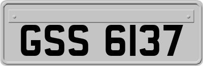 GSS6137