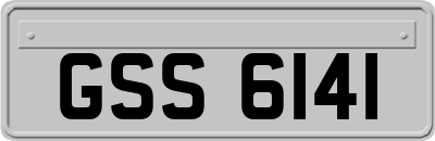 GSS6141