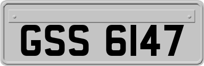 GSS6147