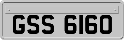 GSS6160