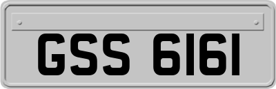 GSS6161