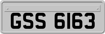 GSS6163