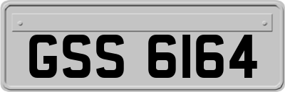 GSS6164